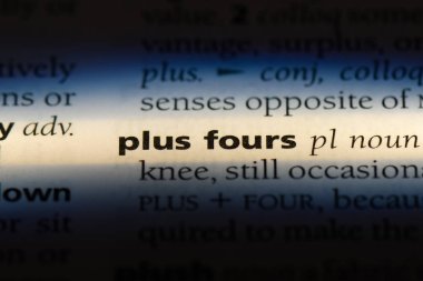 artı dört kelimeyle bir sözlük. artı dört kavramı.