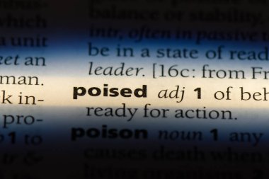 sözcük sözlükte hazırlanıyor. dengeli kavramı.