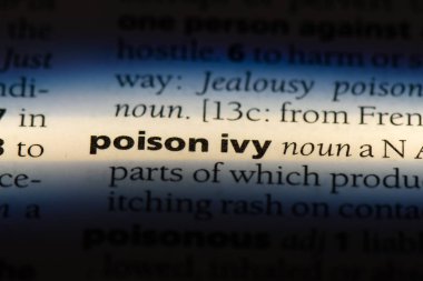 zehirli sarmaşık Word'de bir sözlük. zehirli sarmaşık kavramı.