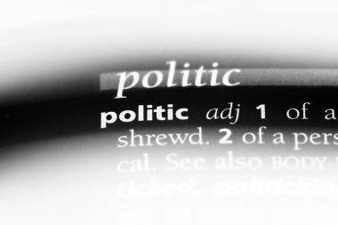 politik tek kelimeyle bir sözlük. politik kavramı.