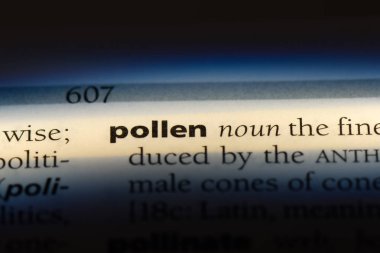 polen Word'de bir sözlük. polen kavramı.