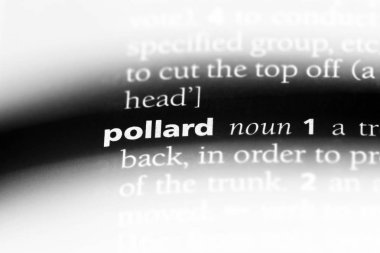 bir sözlüğü'ndeki Pollard sözcüğü. Pollard kavramı.