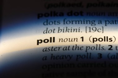 Anket Word'de bir sözlük. Anket kavramı.