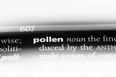 polen Word'de bir sözlük. polen kavramı.