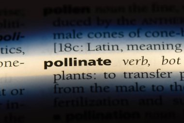 bir sözlüğü'ndeki sözcüğü tozlaşmak. kavram tozlaşmak.