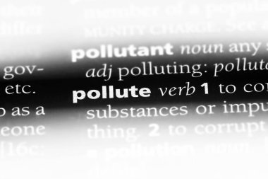 bir sözlüğü'ndeki sözcüğü kirletmez. kavram kirleten.