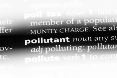 kirletici Word'de bir sözlük. kirletici kavramı.