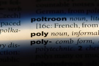 Poli Word'de bir sözlük. Poli kavramı.