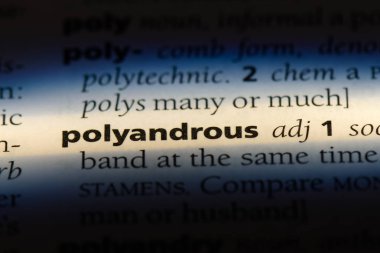 polyandrous tek kelimeyle bir sözlük. polyandrous kavramı.