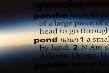 gölet Word'de bir sözlük. gölet kavramı.