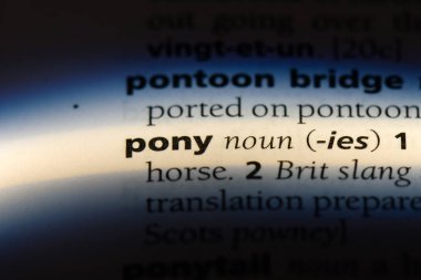 Midilli tek kelimeyle bir sözlük. Midilli kavramı.