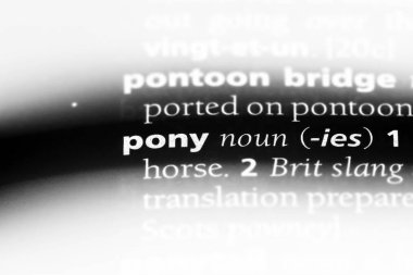 Midilli tek kelimeyle bir sözlük. Midilli kavramı.