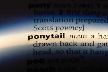 midilli kuyruk kelime sözlüğe. midilli kuyruk kavramı.