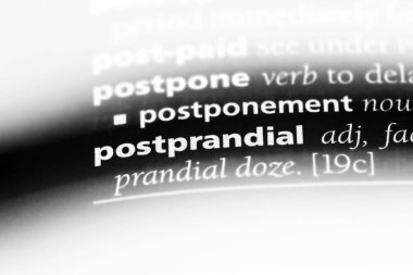 bir sözlüğü'ndeki tokluk sözcüğü. tokluk kavramı.