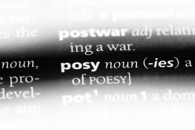 vecize Word'de bir sözlük. vecize kavramı.