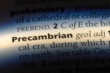 Kambriyen öncesi tek kelimeyle bir sözlük. Kambriyen öncesi kavramı.