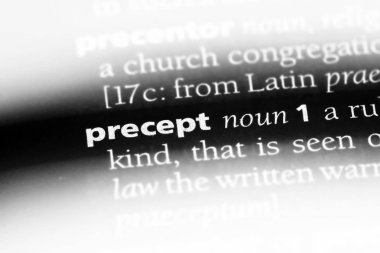 kural Word'de bir sözlük. kural kavramı.