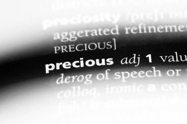 değerli tek kelimeyle bir sözlük. değerli kavramı.