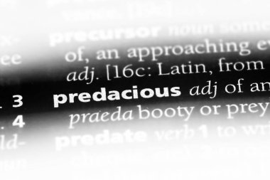 predacious tek kelimeyle bir sözlük. predacious kavramı.