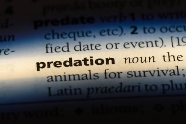 avlanma Word'de bir sözlük. avlanma kavramı.