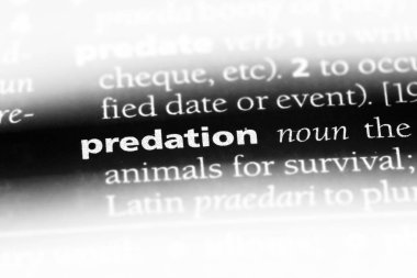 avlanma Word'de bir sözlük. avlanma kavramı.