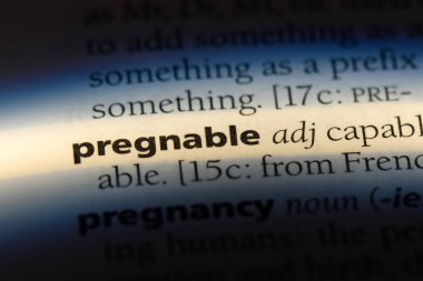 pregnable tek kelimeyle bir sözlük. pregnable kavramı.