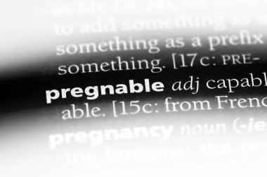 pregnable tek kelimeyle bir sözlük. pregnable kavramı.