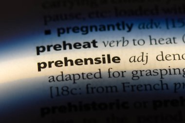 Kavrayıcı tek kelimeyle bir sözlük. Kavrayıcı kavramı.