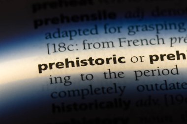 Tarih öncesi tek kelimeyle bir sözlük. Tarih öncesi kavramı.