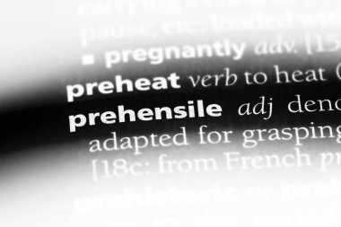 Kavrayıcı tek kelimeyle bir sözlük. Kavrayıcı kavramı.