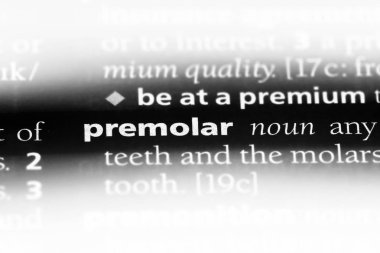 bir sözlüğü'ndeki azıdişinde sözcüğü. azıdişinde kavramı.