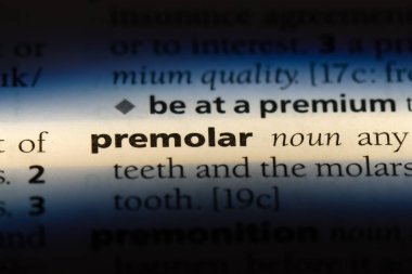 bir sözlüğü'ndeki azıdişinde sözcüğü. azıdişinde kavramı.