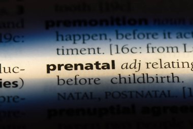 Doğum öncesi tek kelimeyle bir sözlük. Doğum öncesi kavramı.