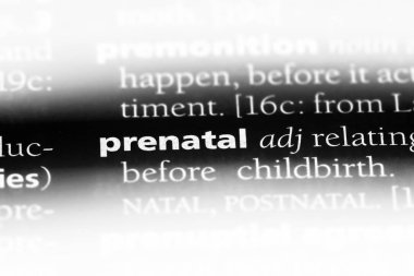 Doğum öncesi tek kelimeyle bir sözlük. Doğum öncesi kavramı.