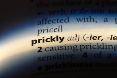 Dikenli tek kelimeyle bir sözlük. Dikenli kavramı.