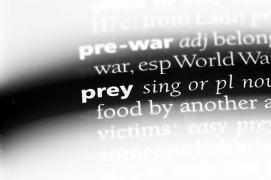 bir sözlüğü'ndeki sözcüğü av. Av kavramı.