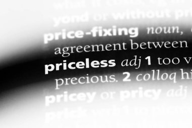 paha biçilmez tek kelimeyle bir sözlük. paha biçilmez kavramı.