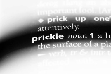 bir sözlüğü'ndeki sözcüğü prickle. Prickle kavramı.