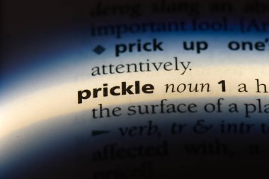 bir sözlüğü'ndeki sözcüğü prickle. Prickle kavramı.