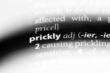 Dikenli tek kelimeyle bir sözlük. Dikenli kavramı.