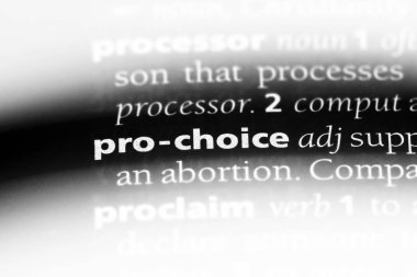 bir sözlüğü'ndeki yanlısı seçim sözcüğü. yanlısı seçim kavramı.