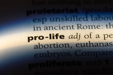 bir sözlüğü'ndeki Pro hayat sözcüğü. Pro hayat kavramı.