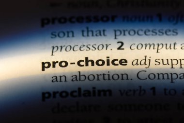 bir sözlüğü'ndeki yanlısı seçim sözcüğü. yanlısı seçim kavramı.