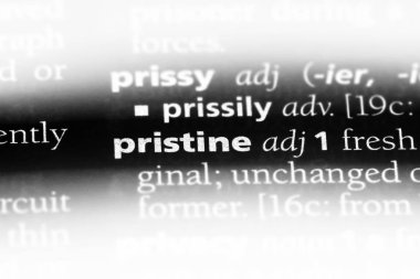 bozulmamış tek kelimeyle bir sözlük. bozulmamış kavramı.