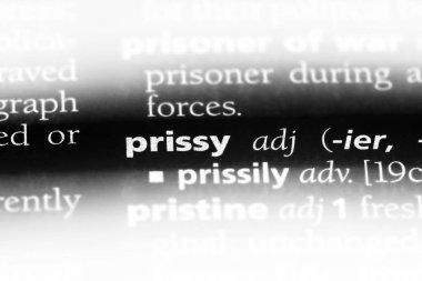 aşırı titiz tek kelimeyle bir sözlük. aşırı titiz kavramı.