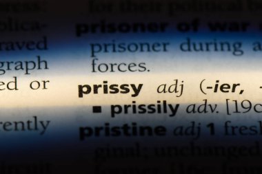 aşırı titiz tek kelimeyle bir sözlük. aşırı titiz kavramı.