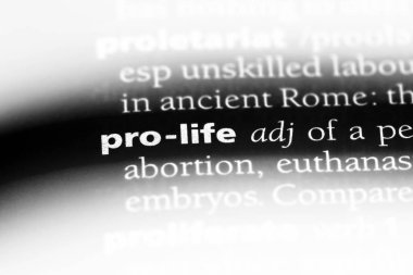 bir sözlüğü'ndeki Pro hayat sözcüğü. Pro hayat kavramı.