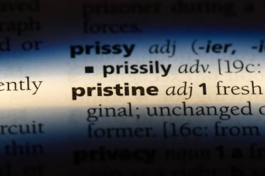 bozulmamış tek kelimeyle bir sözlük. bozulmamış kavramı.