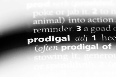 Müsrif tek kelimeyle bir sözlük. Müsrif kavramı.