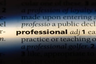 profesyonel sözcük sözlüğe. profesyonel kavramı.